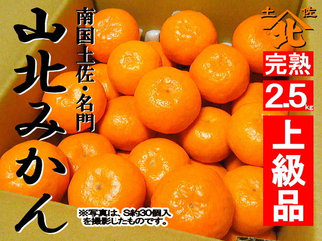 山北みかん640商品2.5