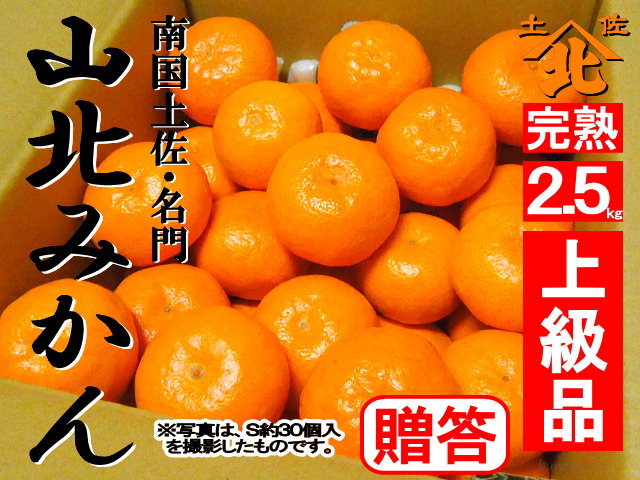 山北みかん640商品2.5