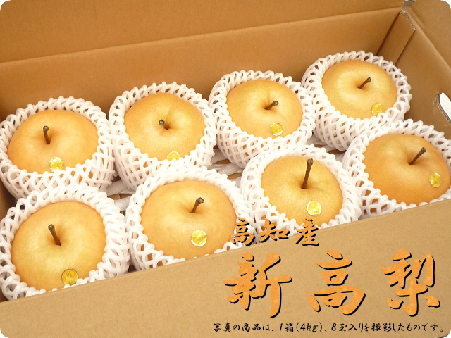 新高梨