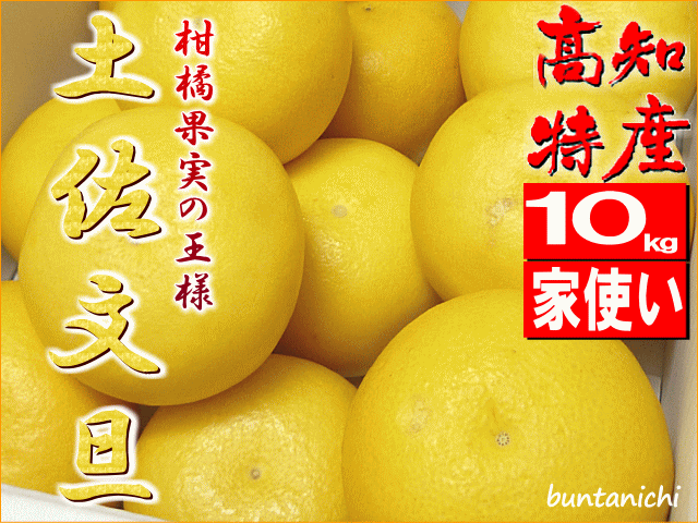 ■SOLD■・旧ID・文旦一厳選、高知特産・土佐文旦・【約１０キロ・家庭用兼お裾分け・3L4Lサイズ・１4玉から１８玉】