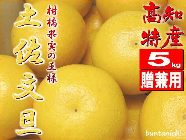 ■SOLD■・旧ID・文旦一厳選、高知特産・土佐文旦・【約５キロ・ご自宅用,兼贈り物用・大玉・７玉】