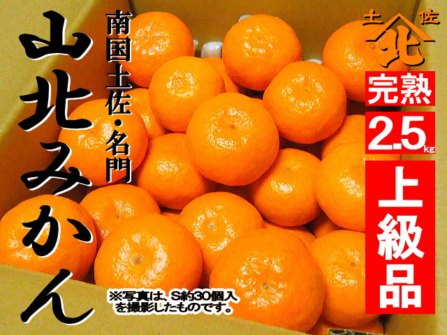 山北みかん640商品2.5