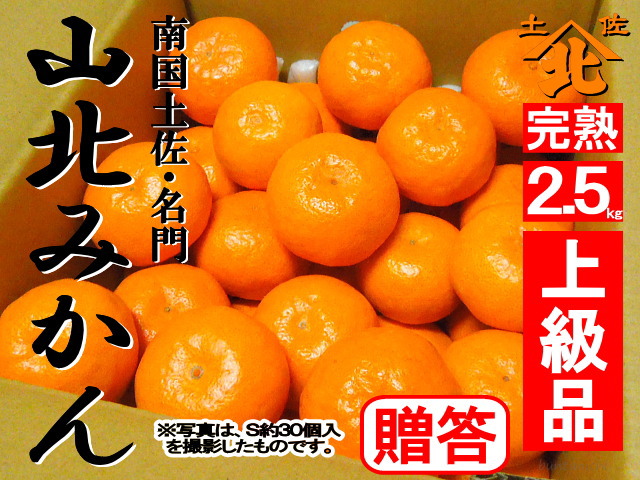 山北みかん640商品2.5