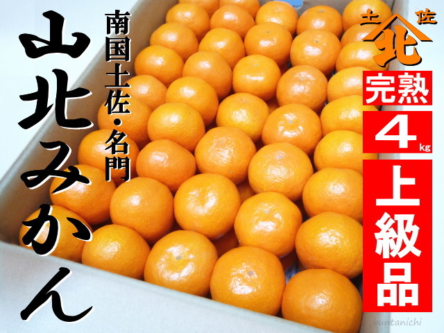 山北みかん４キロ