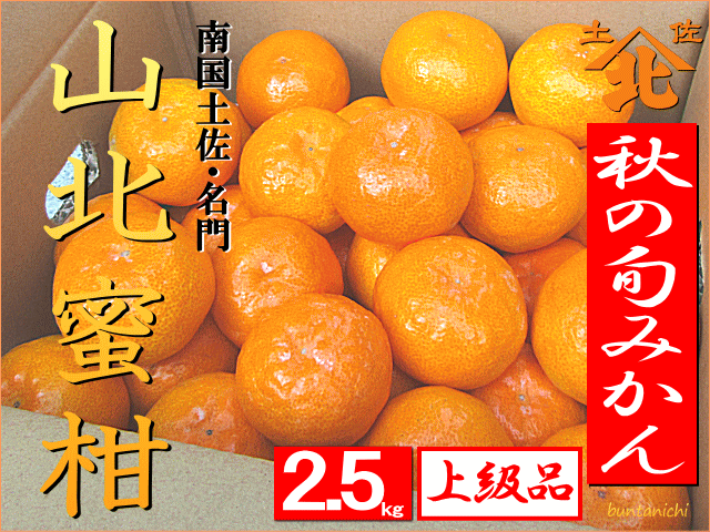 秋の山北みかん2.5