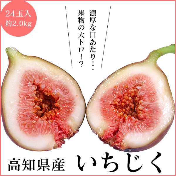 高知産生いちじく