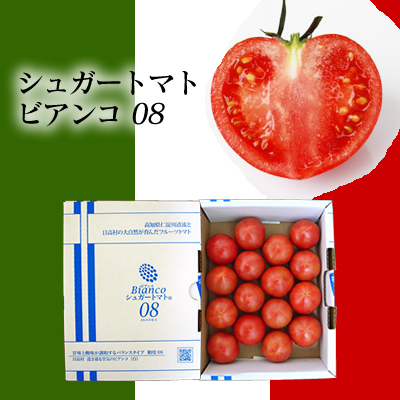 シュガートマト16玉入