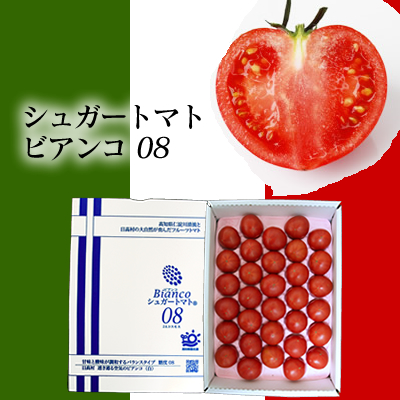 シュガートマト32玉入