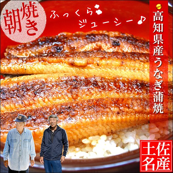 朝焼き高知産生うなぎ蒲焼