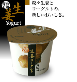 高知育ち 生姜ヨーグルト10個セット