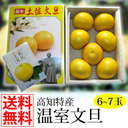 高知特産　温室文旦6～7玉入り