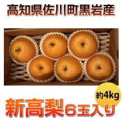 高知県黒岩産 新高梨4kg6玉入り
