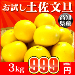 お試しセット土佐文旦3.5kg