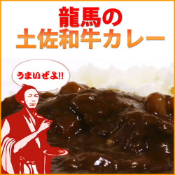土佐和牛カレー