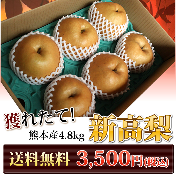 熊本県産　新高梨　　6玉入り　　4.8kg
