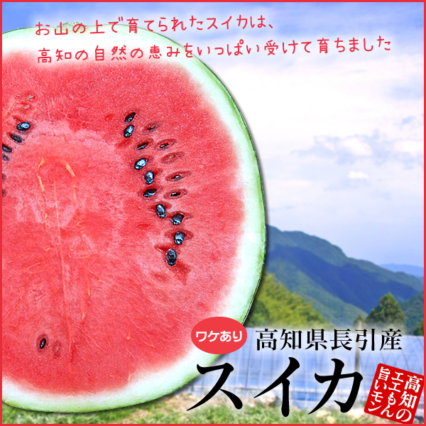 長引スイカ