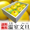 温室文旦　3kg6玉