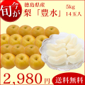 【送料無料】【秀品：贈答にもOK！】徳島県産　豊水　「梨」　5kg入り　14玉　サイズ：3L　「9月15日までの限定販売」