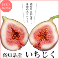 高知産生いちじく