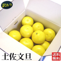 【送料無料】訳あり土佐文旦（露地）10kg　サイズ・玉数おまかせ　