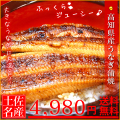 【送料無料】【数量限定】訳あり、特大、高知県産うなぎ蒲焼　2尾セット