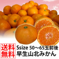 早生みかん Sサイズ