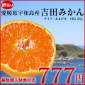吉田みかん　サムネイル７７７