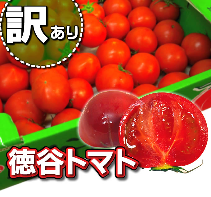 徳谷トマト