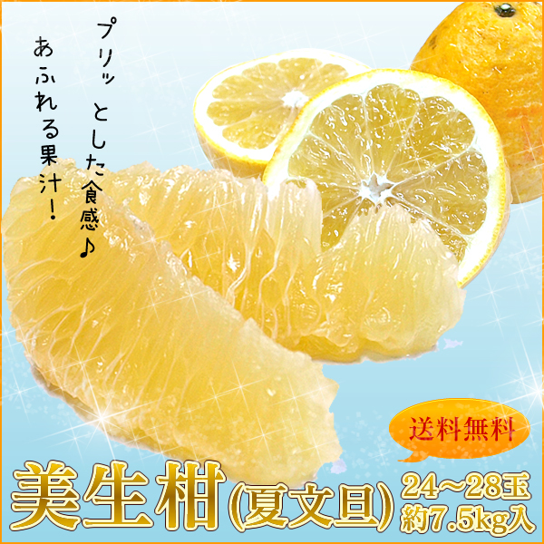 夏文旦