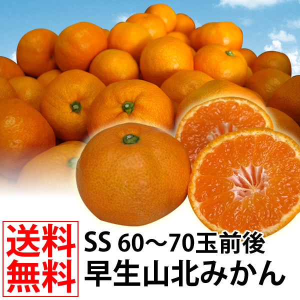 早生みかんSサイズ