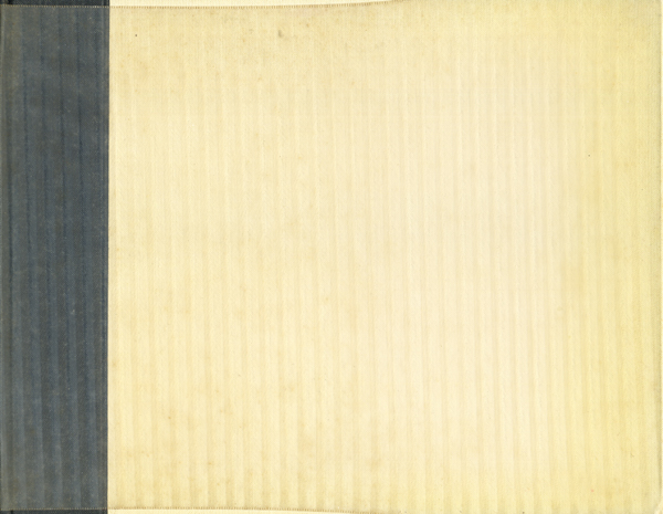 Pier Luigi Nervi: 建築の美と技術