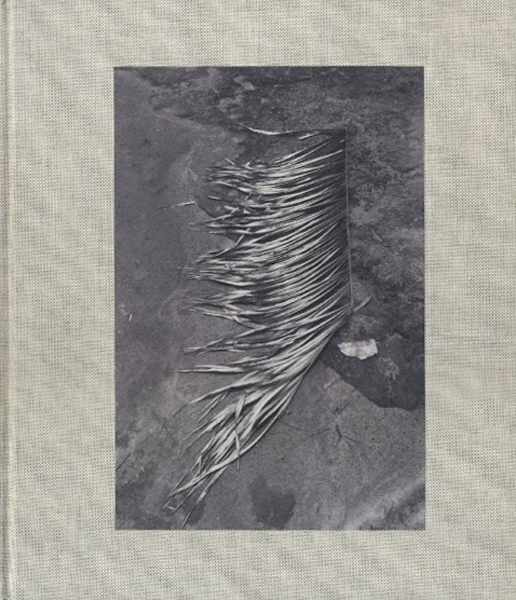 VIVIANE SASSEN: PIKIN SLEE [Signed]