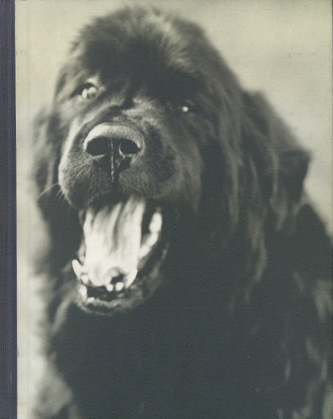 Bruce Weber: Gentle Giants A Book of Newfoundlands