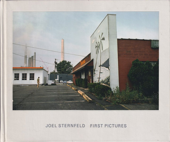 Joel Sternfeld: First Pictures