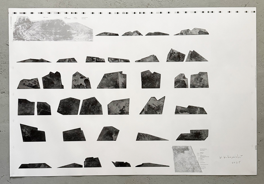 小林且典　「山の標本」ブックレイアウトシート（刷本）/ Katsunori Kobayashi: Mountain Speciments: Book Layout Sheet