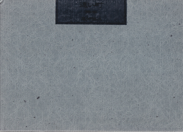 尾仲浩二　遠い町 / Koji Onaka: Distance 1991-1995