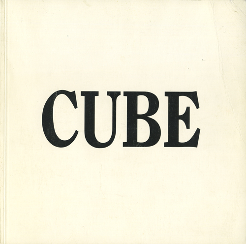 SOL LEWITT: A CUBE
