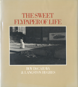 The Sweet Flypaper of Life