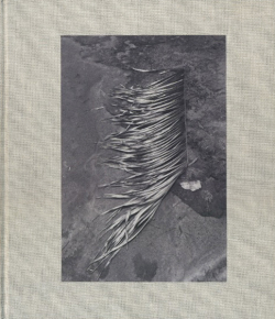 VIVIANE SASSEN: PIKIN SLEE [Signed]