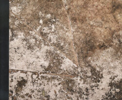 Yusuke Yamatani: ground [Signed]