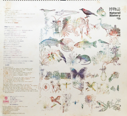 大日精化工業株式会社 1973年カレンダー　博物誌’73