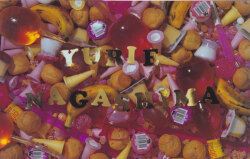 YURIE NAGASHIMA 長島有里枝写真集