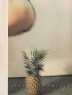 Mark Borthwick: Synthetic Voices