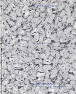 Felix Gonzalez-Torres: Catalogue Raisonne / Text [2 volume set]