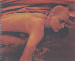 Drew Jarrett: Guinevere