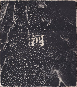 森永純写真集　河―累影 / Jun Morinaga: River, Its Shadow of Shadows