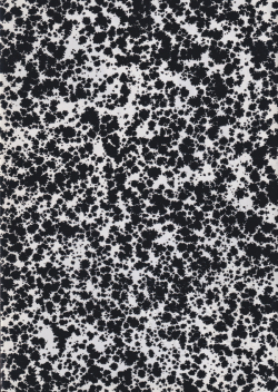 Kerstin Bratsch: Unstable Talismanic Rendering Plates