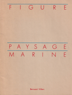 Bernard Villers: Figure Paysage Marine