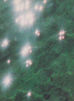 Felix Gonzalez-Torres