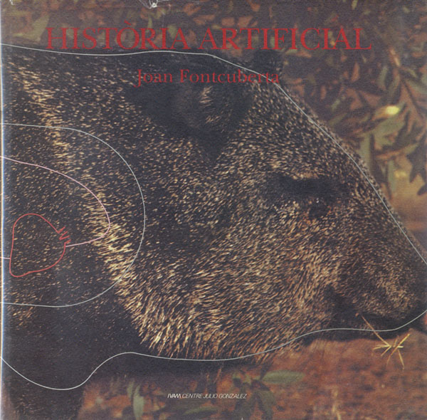 アート・デザイン・音楽 Joan Fontcuberta ?height=1920&quality=80&